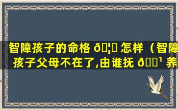 智障孩子的命格 🦍 怎样（智障孩子父母不在了,由谁抚 🌹 养）